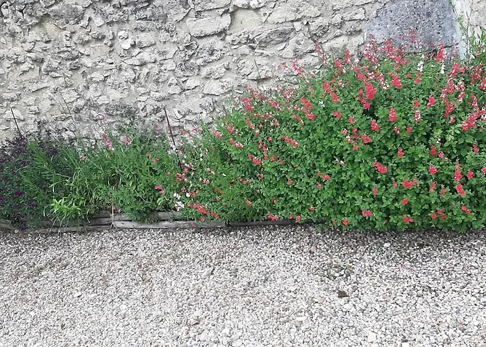 La Mirabelle