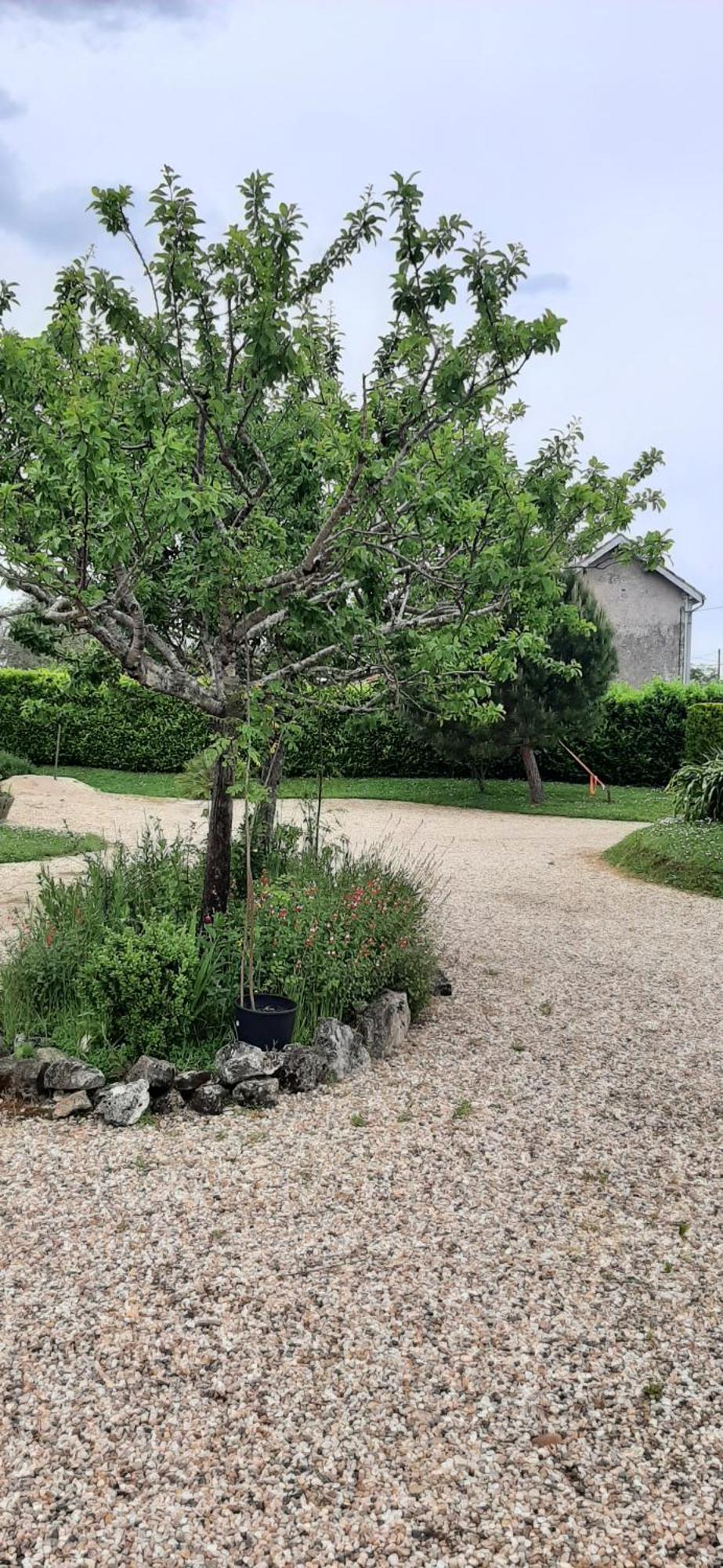 La Mirabelle Bed & Breakfast Montazeau