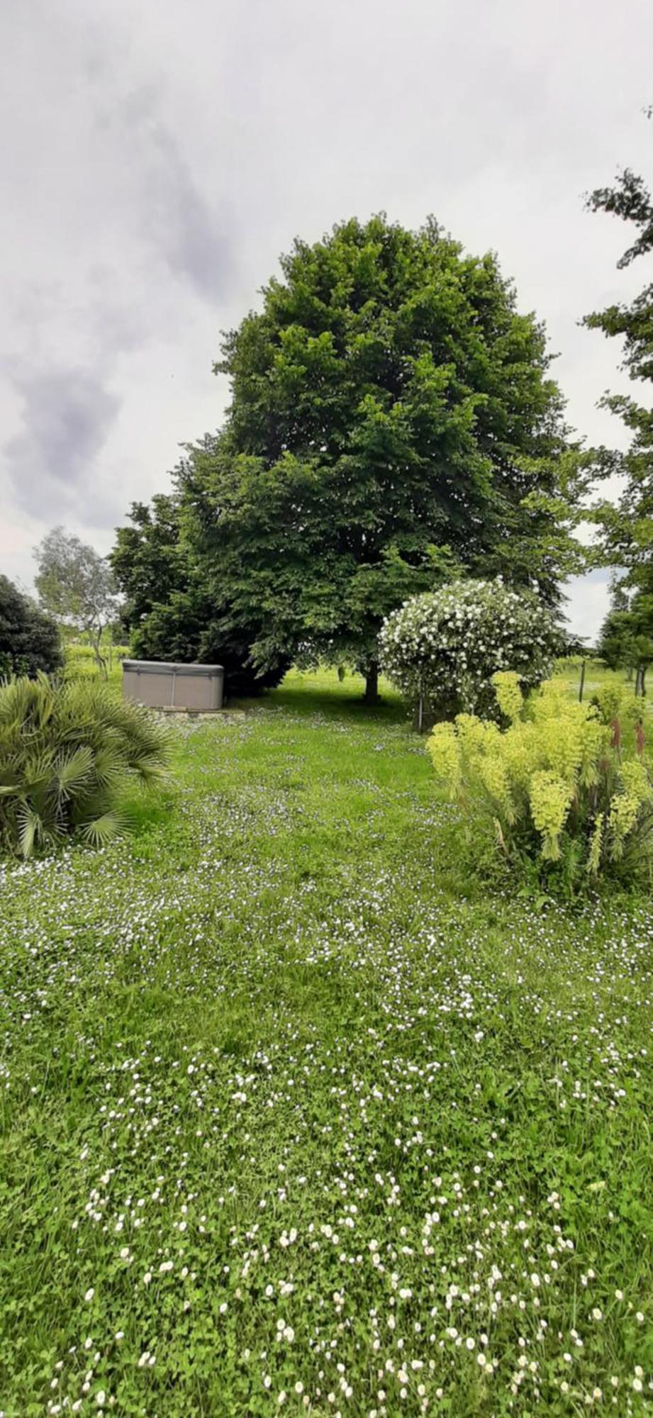 Bed & Breakfast La Mirabelle Montazeau