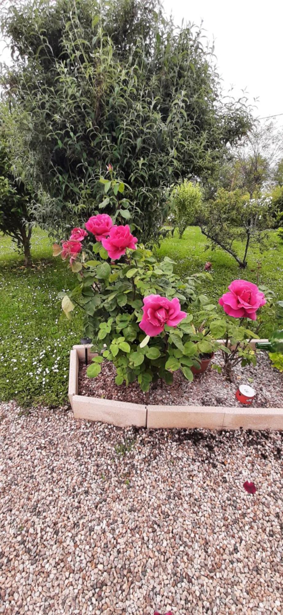 Bed & Breakfast La Mirabelle
