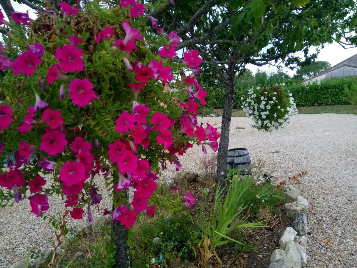 La Mirabelle Bed & Breakfast Montazeau