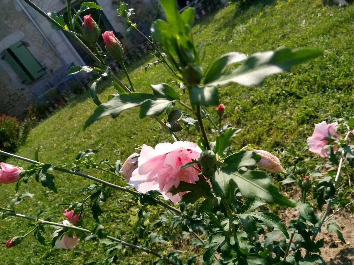 La Mirabelle Bed & Breakfast